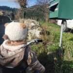 le BIO arrive dans vos boîtes