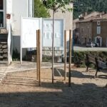 Un nouvel arbre a été planté