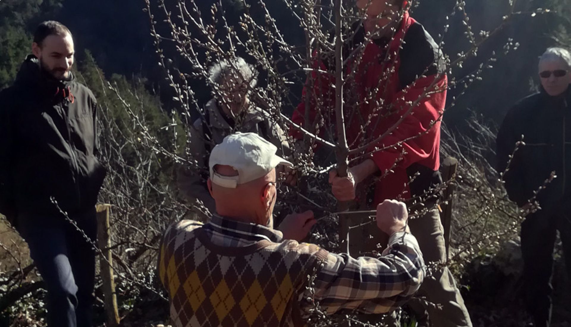 aea8a2d59ebf18556f91b37c531c9ff2